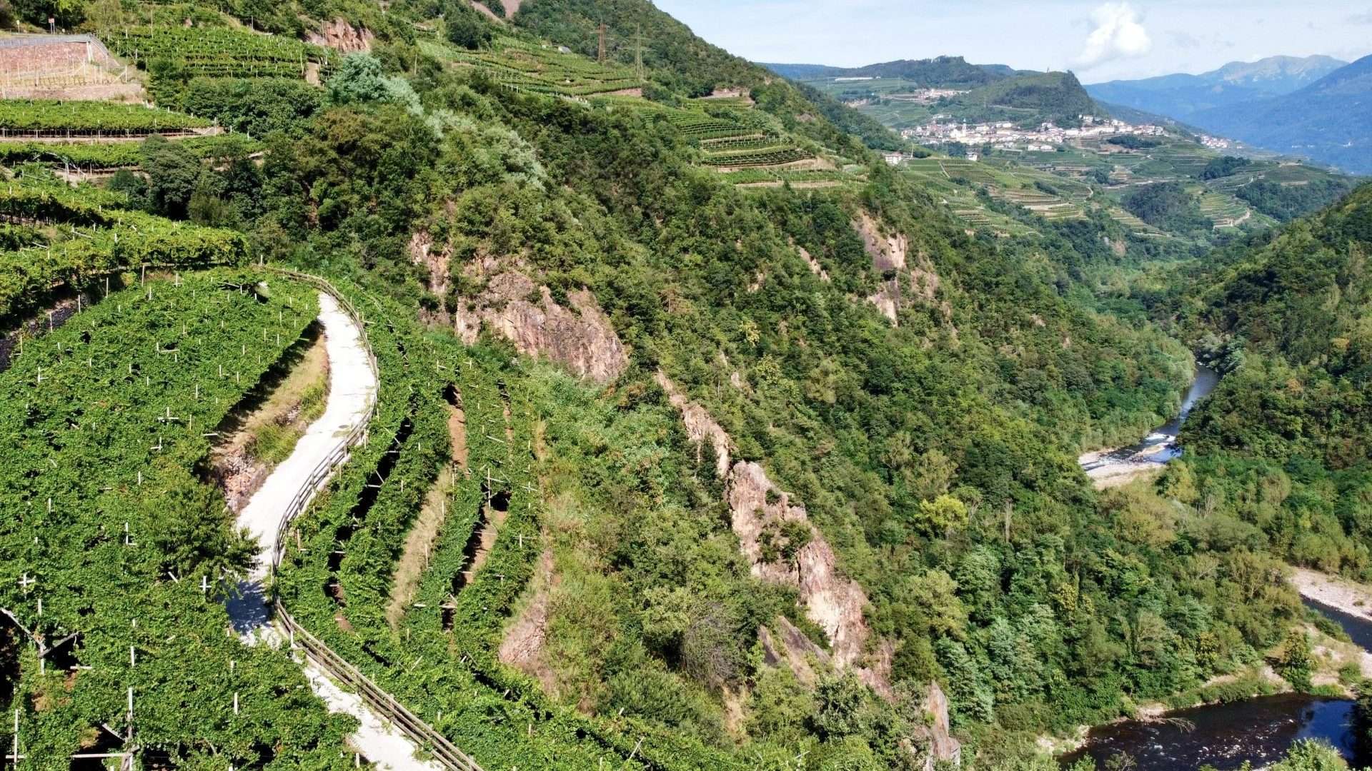 1_cammino-avisio-sulle-orme-tramvia-avisiana